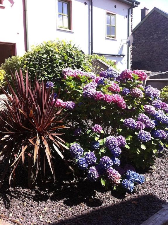 Villa Burnham View à Dingle Extérieur photo